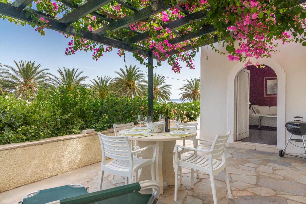 Bougainvillea House In Crete Сития Экстерьер фото